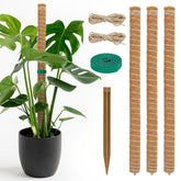 TLazz 54-inch moss pole with stackable design supports indoor climbing plants.