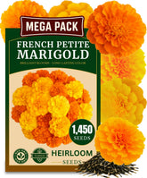 TLSSCO French Petite Marigold seeds pack front, quick-blooming seeds for fast garden color