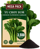 TLSSCO Yu Choy Sum seeds pack, ideal for reliable spring planting and fresh greens.
