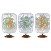 TMFsode bird netting over blueberry bushes protects fruit from birds and pests.