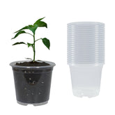 TNTIWQ clear nursery pot for 4-inch seedlings with drainage holes, ideal for root viewing.