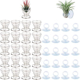 Together-life tilandsia stand with stainless steel base for stable tabletop display