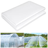 ToLanbbt 12x26 ft clear greenhouse film showing abundant light transmission for thriving seedlings.