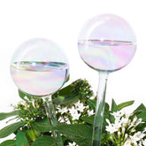 Tomorotec rainbow glass self-watering spike close-up, promotes steady watering for healthy plants.