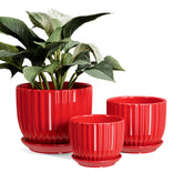 Ton Sin 4-inch red ceramic pot ideal for compact indoor plants