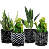 Ton Sin 5.5-inch black ceramic planter with drainage hole for succulents.