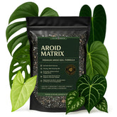 Top Tier Genetics Aroid Soil Blend for Monstera with healthy roots and vibrant growth.