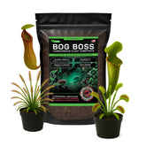 Top Tier Genetics BOG BOSS packaging for carnivorous plants