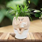 Toparad toilet-face planter with drainage hole for indoor succulent display