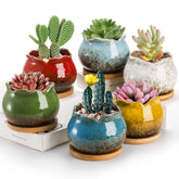TopZEA red glazed ceramic succulent pot with drainage, ideal for desktop plants.