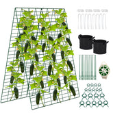 Toriexon foldable cucumber trellis supports climbing vines in a raised bed for organized growth