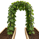 Toriexon Garden Arch Trellis demonstrates 7.4ft height supporting climbing vines.