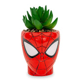 Toynk Spider-Man Web-Head mini-planter with a faux succulent, ideal for desks and shelves.
