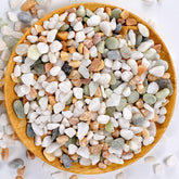 TOYPOPOR mixed color rocks for plants enhance planter decor and drainage