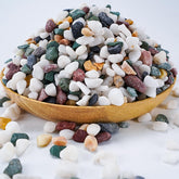 TOYPOPOR succulent gravel 1/5 inch enhances drainage and pots' visual appeal