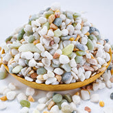 TOYPOPOR mixed color rocks decorate plants and terrariums