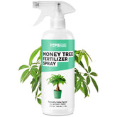 TPS NUTRIENTS Money Tree Fertilizer Spray bottle applying a fine mist to Pachira leaves for balanced growth.
