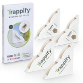 Trappify window fly trap adhesive strip in use to capture insects.