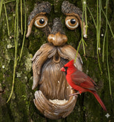 Tree Poetry tree face outdoor decor adds whimsy to your garden.