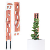 Treleaf Zella base unit showing sturdy support for climbing vines