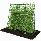 Trellume cucumber trellis assembly for quick, sturdy vertical support