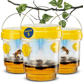 TriskelBlue solar wasp trap hanging in outdoor space showing capture area and glow at dusk