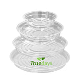 TRUEDAYS clear 6in plant saucers provide a stable base and drain excess water