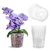 TRUEDAYS Orchid Pot clear 6-inch view for root inspection