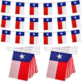 TSMD Texas flag banner wall display with bright, durable colors