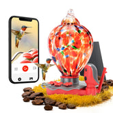 TT Nature smart glass hummingbird feeder with camera attracting birds securely
