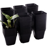 Tulpeed 200-pack square nursery pots for efficient seedling starts