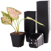 Tulpeed square nursery pot 2.2-inch with drainage for healthy seedling start