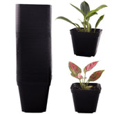 Tulpeed square pot 50-pack packaging view for versatile gardening