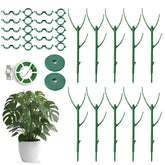 Tulvixxo stackable monstera stake collection supports tall vines with clean, discreet indoor growth.