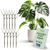 Twigs GA Moonstone stackable stake in soil supports a potted plant