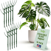 Twigs GA stackable stake supports a Monstera upright for healthy growth.