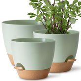 TYMENSH plant pots set of three in 12, 10, and 9 inches for flexible indoor planting.