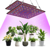 Uallhome LED grow light panel front view showing two-pack setup for 4x4ft tents