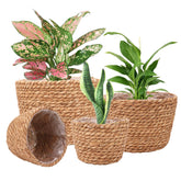 Ufrount Seagrass Planter Basket set for indoor and outdoor use enhances natural decor
