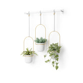 Umbra Triflora hanging planter with extendable rod displaying herbs in a bright window.
