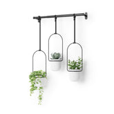 Umbra Triflora hanging planter window display for easy herb access