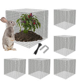 UNIFAMILY plant protector mesh guards roses against small animals while promoting blooms.