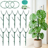 Unijoy monstera stake stack-ready supports climbing vines while protecting roots.