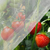 Unves mosquito netting setup demonstrates easy installation for crop protection