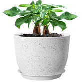 UOUZ 12-inch plant pot with grid drainage holes and saucer for healthier roots.