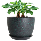 UOUZ 12-inch pot with matte-finish for stylish indoor plant displays.