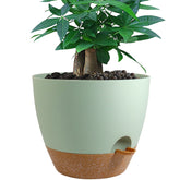 UOUZ 12-inch self-watering pot with 60oz reservoir for extended plant care