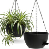 UOUZ 13-inch hanging planter setup for space-saving vertical display.