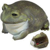 Useamie Spare Key Hider frog front view shows cute garden key storage