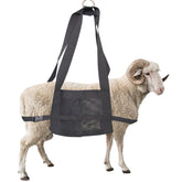 USUNFARM calf sling weighing bag for calves, secure support during weighings.